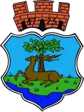 Coat of arms of Gmina Ryn