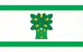 Flag of Gmina Ojrzeń