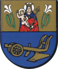 Coat of arms of Wąsewo