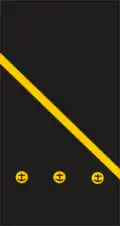 A diagonal gold stripe above three circles containing fouled anchors