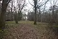 Park Wood