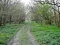 Park Wood, Chilham