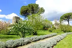 Medieval ruins