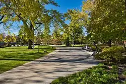 Fall at UIC