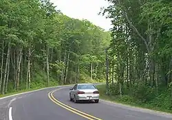 Photograph of a curve along