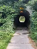 Overgrown plants near a pedestrian tunnel in London Ontario