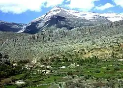 Pendro in spring (1968)