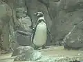 At the Oregon Zoo