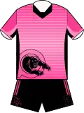 Pink Panthers (2016)