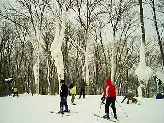 One blue square rated trail at Perfect North Slopes called "Runway"