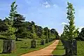 Young 'New Horizon', Petersham Gate, Richmond Park[7]