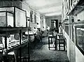 Pfurtscheller's wallcharts in the High School in Valencia