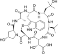 Phallacin