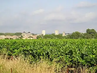 A general view of Pignan