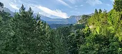 Guci forest park