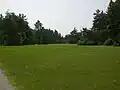 Fields