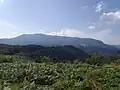 Pleșa peak seen from Cornetul Mountain.