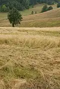 Place Kneževo Polje, Small Povlen