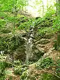 River Cetina, Middle Povlen