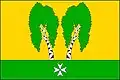 Flag of Březiněves