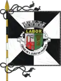 Flag of City of S. João da Madeira