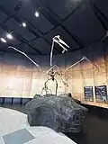 Quetzalcoatlus fossil casting at the main entrance.