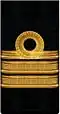нарукавный знак флота 1917