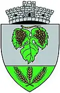 Coat of arms of Papiu Ilarian