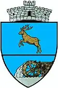 Coat of arms of Ștefești