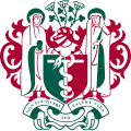 RSM logo