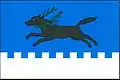 Flag of Rabí