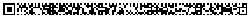 Rectangular Micro QR Code (rMQR Code) version R7x139