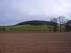 Redpath Hill