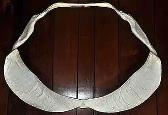 Jaws