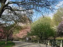 Riverside Park and Riverside Drive
