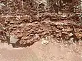 Bed of concretions in the Rock Point Formation near Youngsville, New Mexico