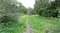 Roding Valley Meadows