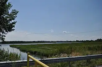 Marshland