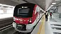SRT Dark Red Line train at the station