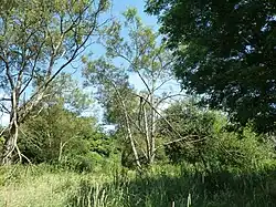 Habitat.