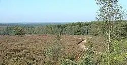 Sallandse Heuvelrug National Park near Nijverdal