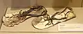Sandals from Qustul, c. AD 370–410
