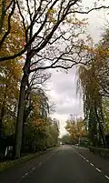 Sassenheim, - panoramio