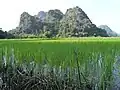 Scenery outside Saddan Cave