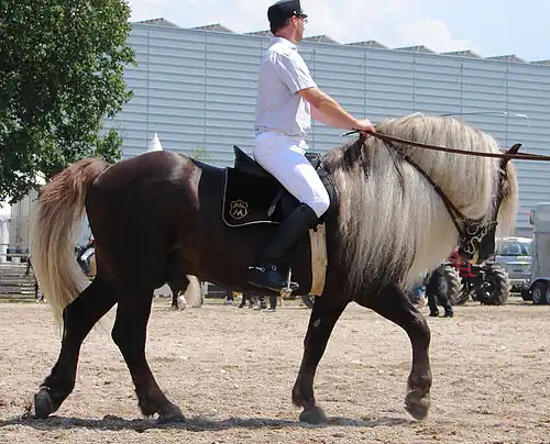a man riding a horse
