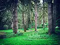 Seaquest State Park