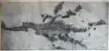 Holotype of S. guilelmiimperatoris in 1895[2]