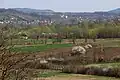 Village Suseoka - panorama
