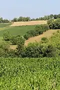 Село Клинци - панорама