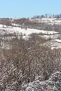 Sirdija - panorama